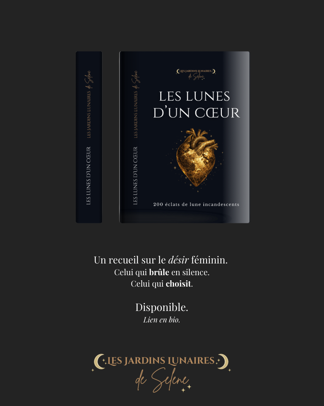 Les Lunes d'un Cœur